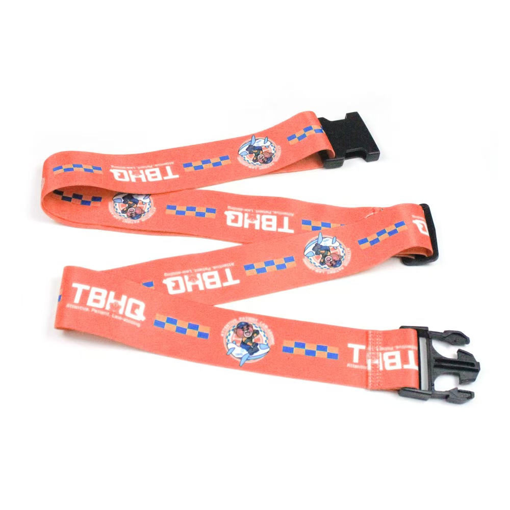 Custom Airplane Pattern Printed Luggage Belt3